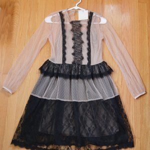 Fit & Flare Sheer Lace Black Beige A-Line Dress